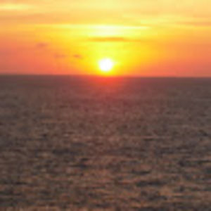 Meet your Posher, Marcy